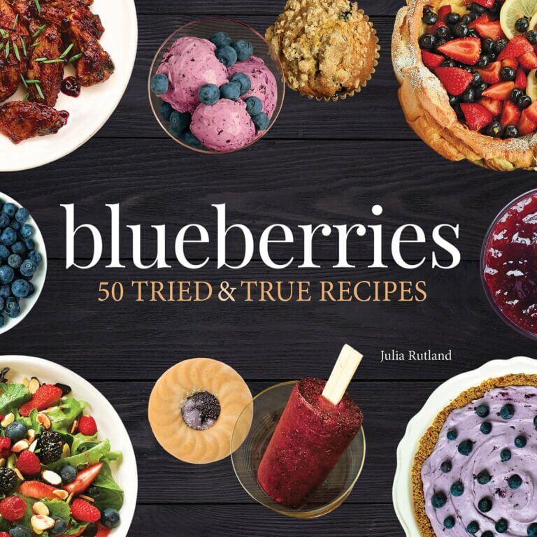 Blueberries Cookbook Book Cover
