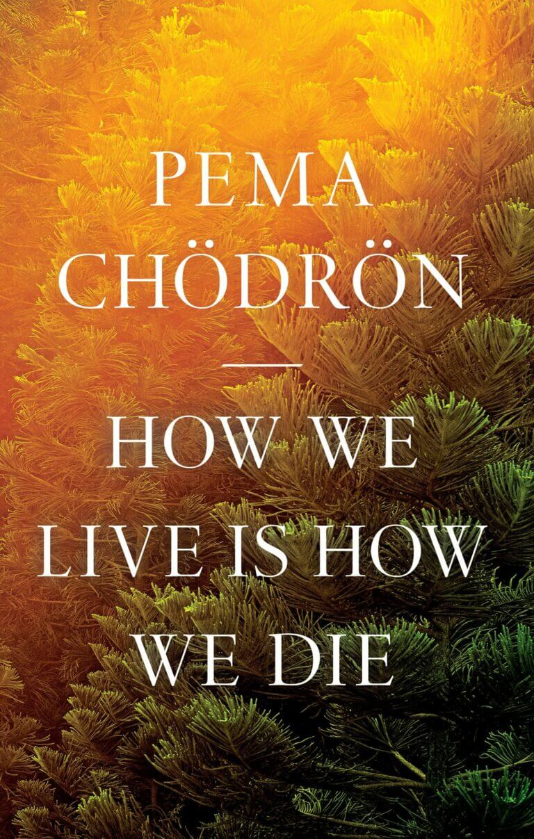 How We Live Is How We Die Book Cover