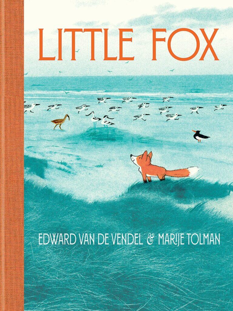Little Fox Book Cover