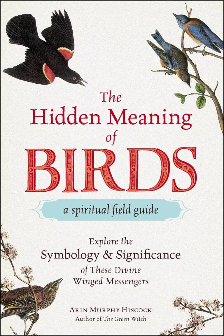 The Hidden Meaning of Birds–A Spiritual Field Guide Explore the Symbology and Significance of These Divine Winged Messengers Book Cover