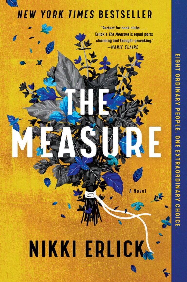 The Measure A Novel Book Cover