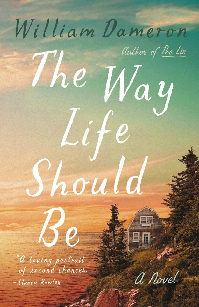 The Way Life Should Be A Novel Book Cover
