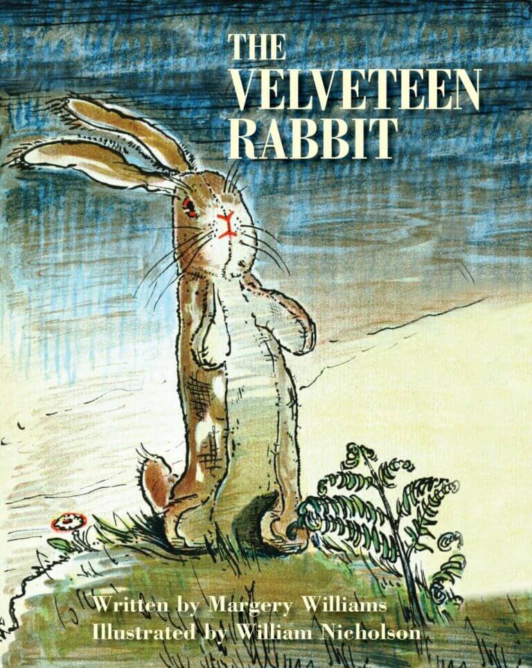 VELVETEEN RABBIT. Book Cover