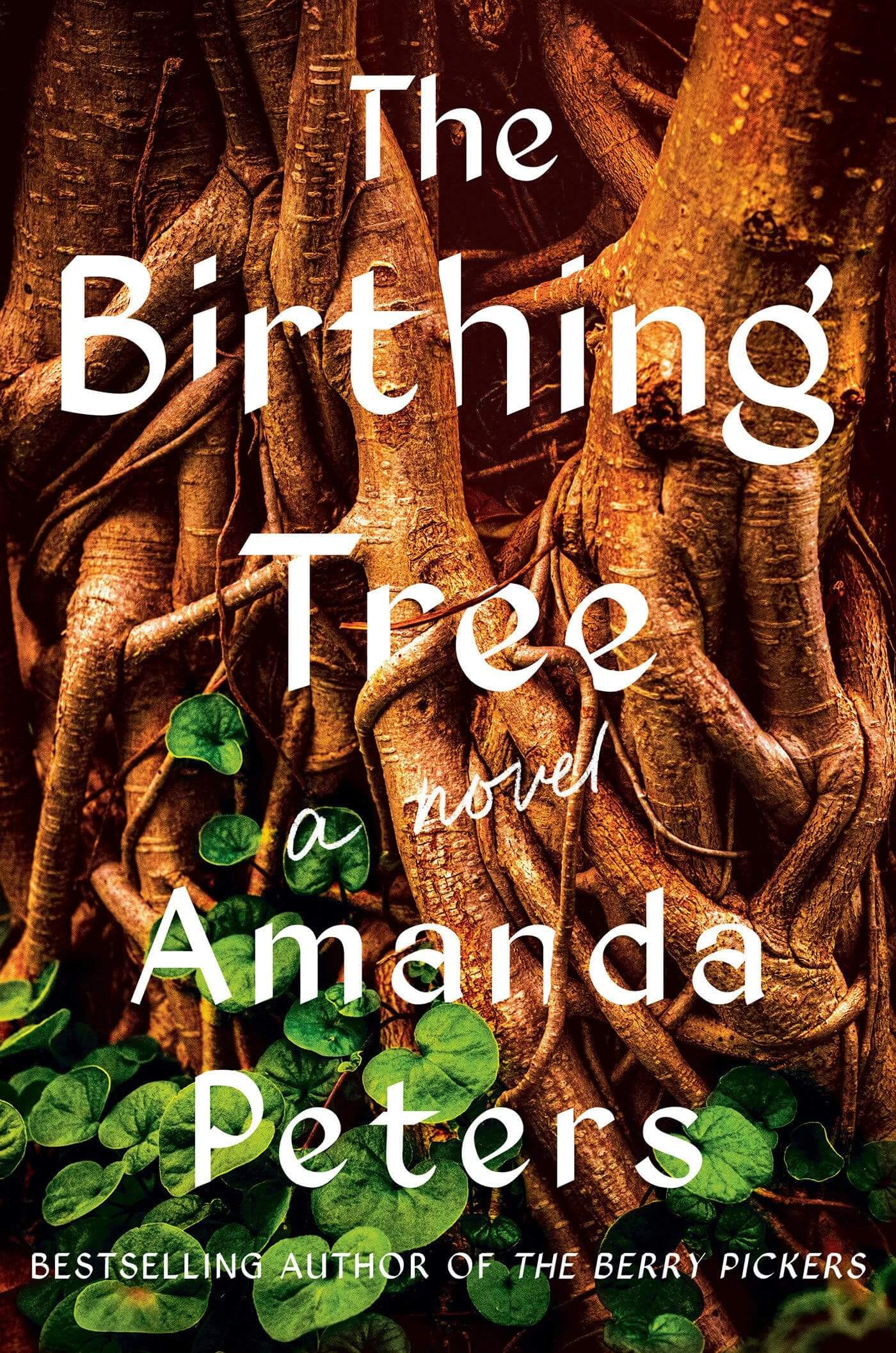 October Book Club: The Birthing Tree by Amanda Peters
